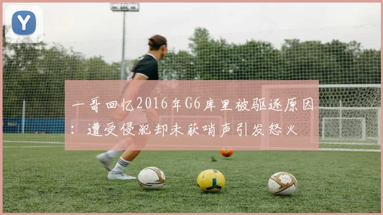 一哥回忆2016年G6库里被驱逐原因：遭受侵犯却未获哨声引发怒火